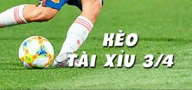 Chỉ nên tham gia kèo cược khi chắc thắng 70% Chỉ nên tham gia kèo cược khi chắc thắng 70%